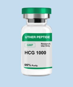 HCG 1000iu GMP (10 Vials / Kit)